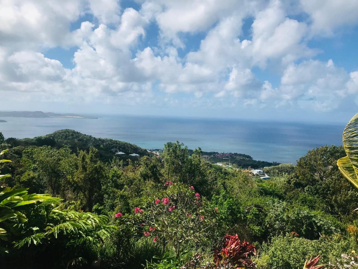 Appartement Prive Eco-Responsable, Vue Sur La Mer Des Caraibes Et Jardin Clos, Wifi, A 2Mn De La Plage Sainte-Luce Exterior foto