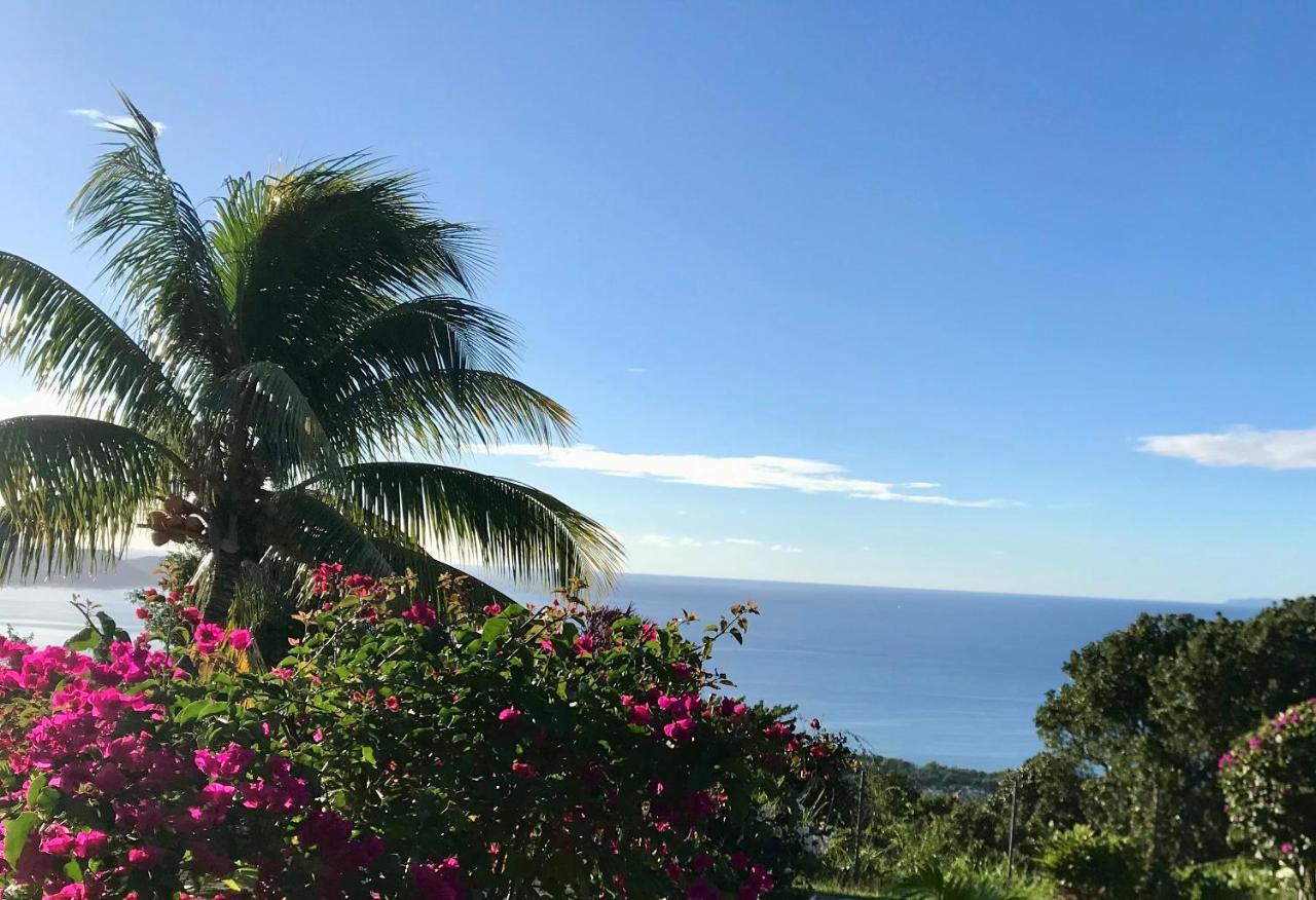 Appartement Prive Eco-Responsable, Vue Sur La Mer Des Caraibes Et Jardin Clos, Wifi, A 2Mn De La Plage Sainte-Luce Exterior foto